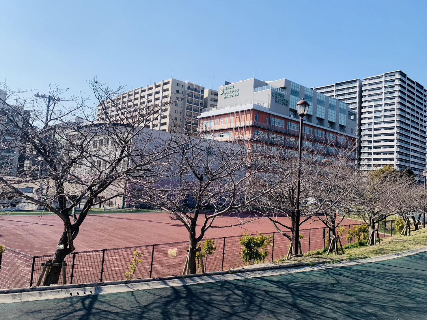 リバーパーク汐入はなみずき通り北七番館 周辺画像2