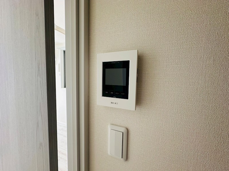 エオリア扇 その他4