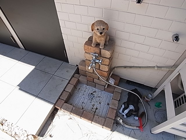 Belle-Vue Le Chien 1 その他外観6
