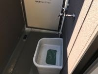 フォレストT その他14