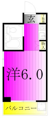 ジュネパレス柏第28 305号室 間取り
