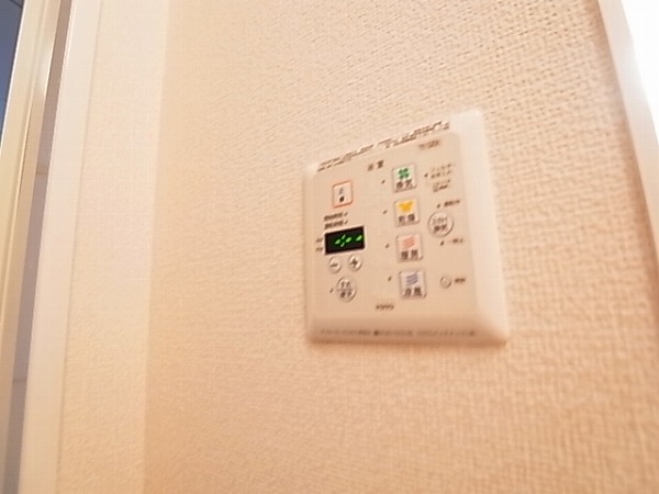 レセーナＡ その他11