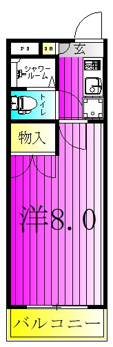 ジュネパレス柏第25  304号室 間取り