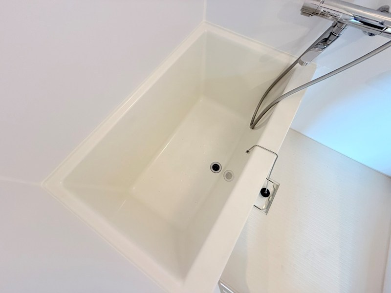 レジナス椿 その他8