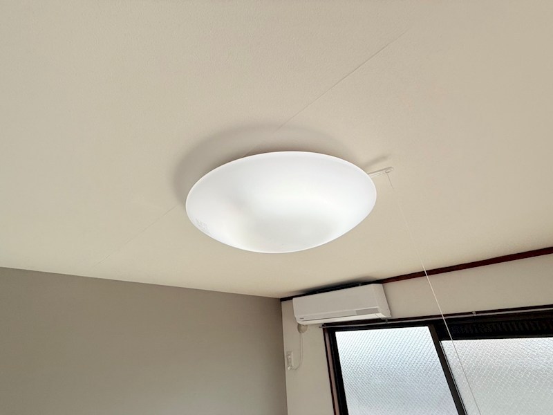 レジナス椿 その他12