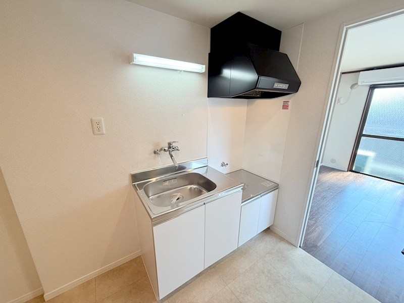 レジナス椿 その他17