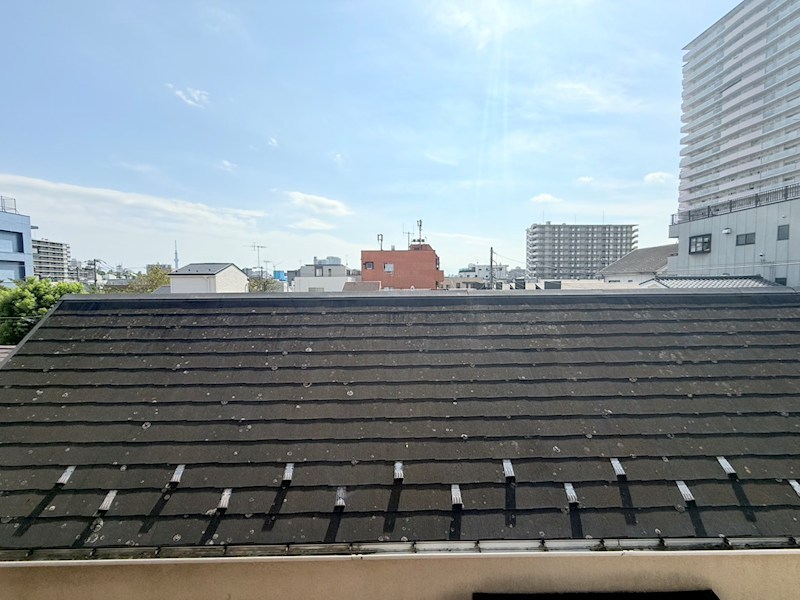 レジナス椿 その他6