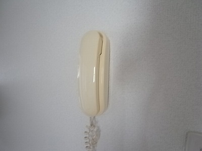 ロイヤルタウン泉 その他4