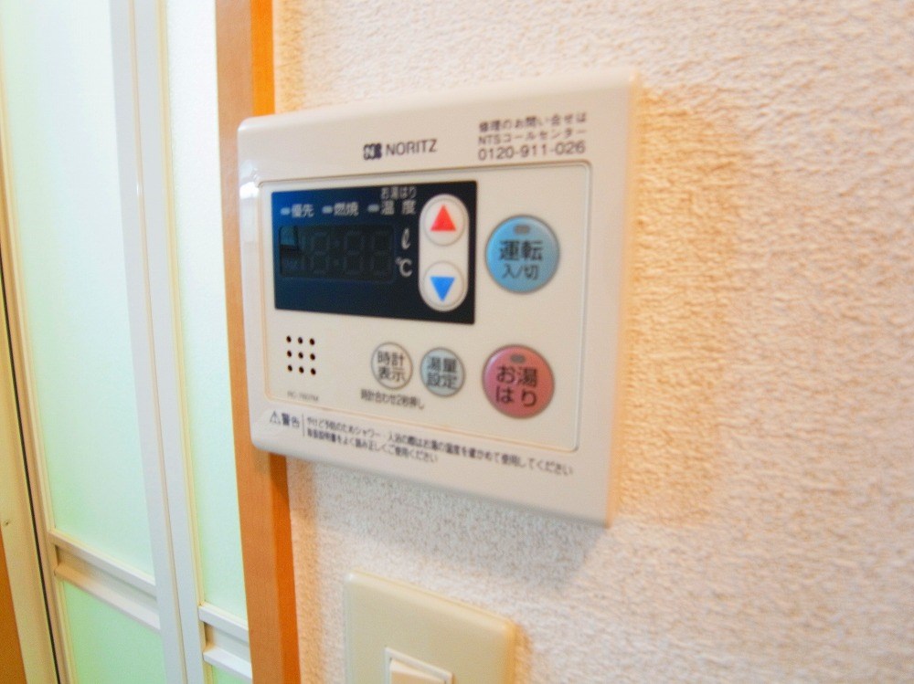 アウルリーベ その他10