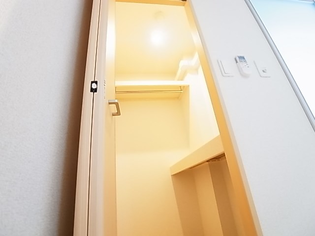 Ｆｏｒｅｓｔ その他13
