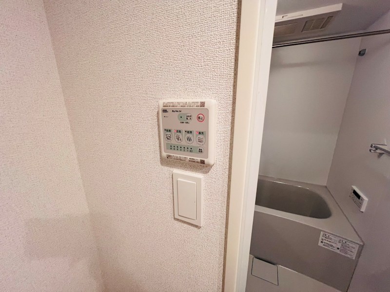 スアヴィス谷在家 その他6