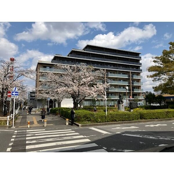ソライエ新柏プレミスト 604号室 外観