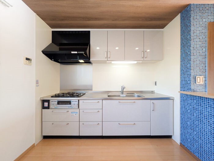 ラミアカーサＫ キッチン