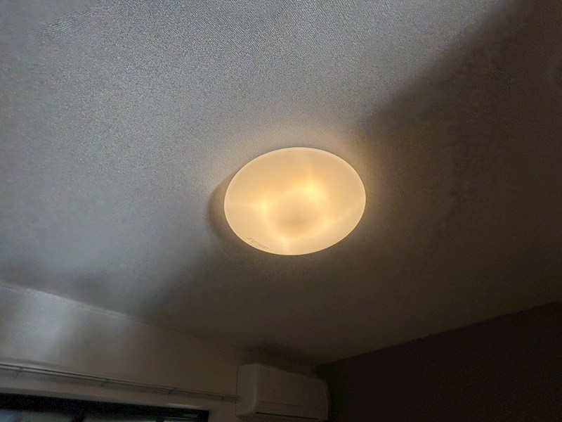 ガーデナーズ　サン その他31