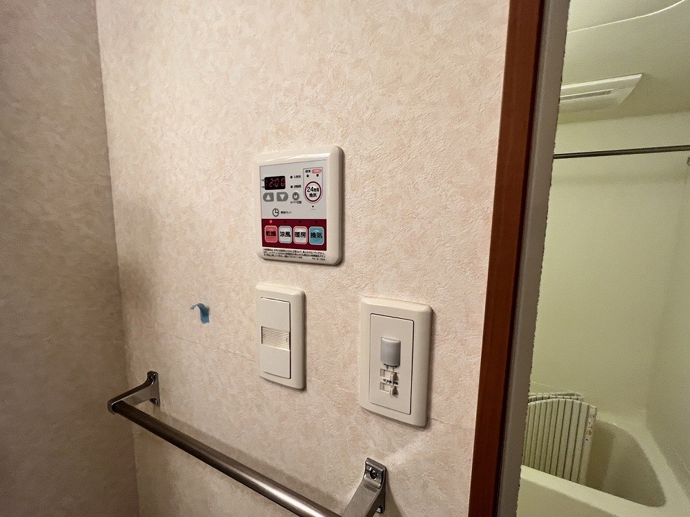 ミレーニア その他5