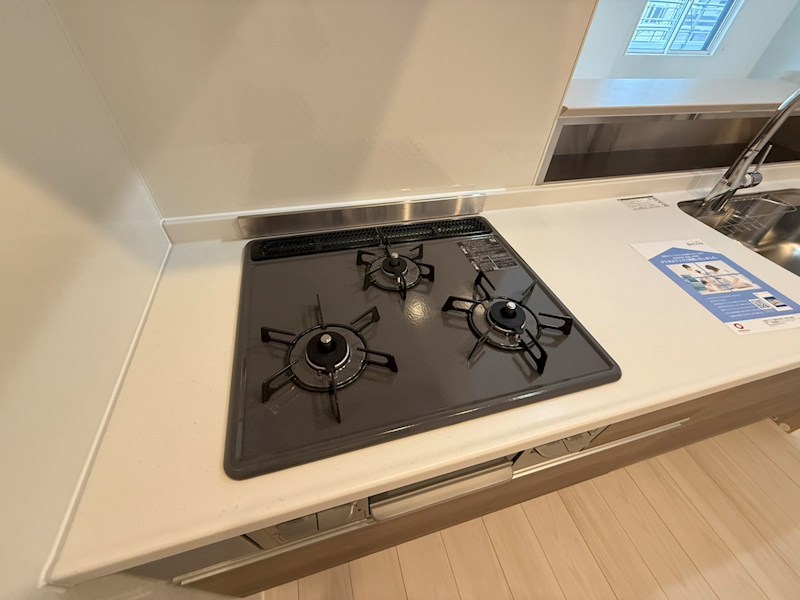 ソラーナ　フェリス その他24