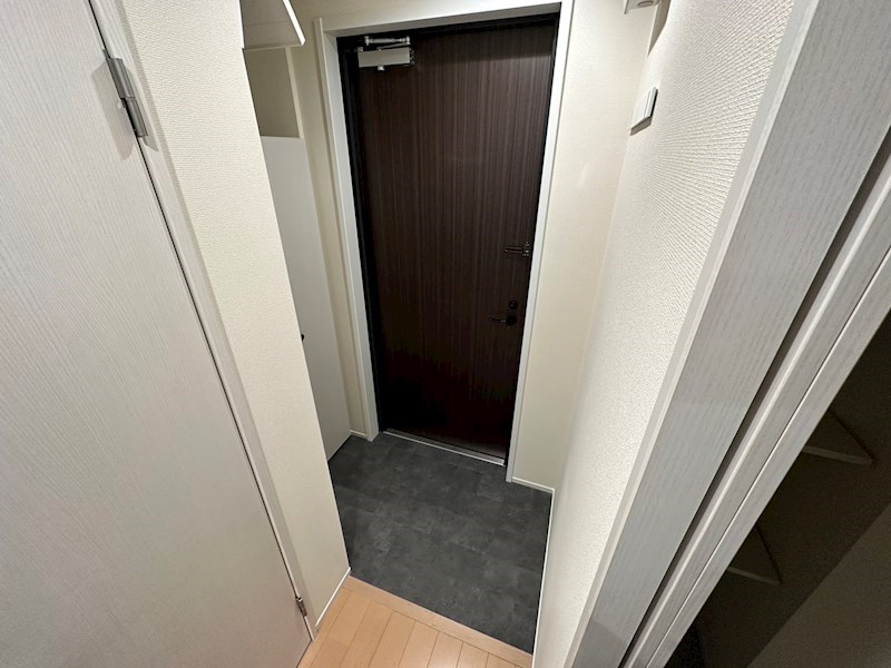 ラピスラズリ 玄関