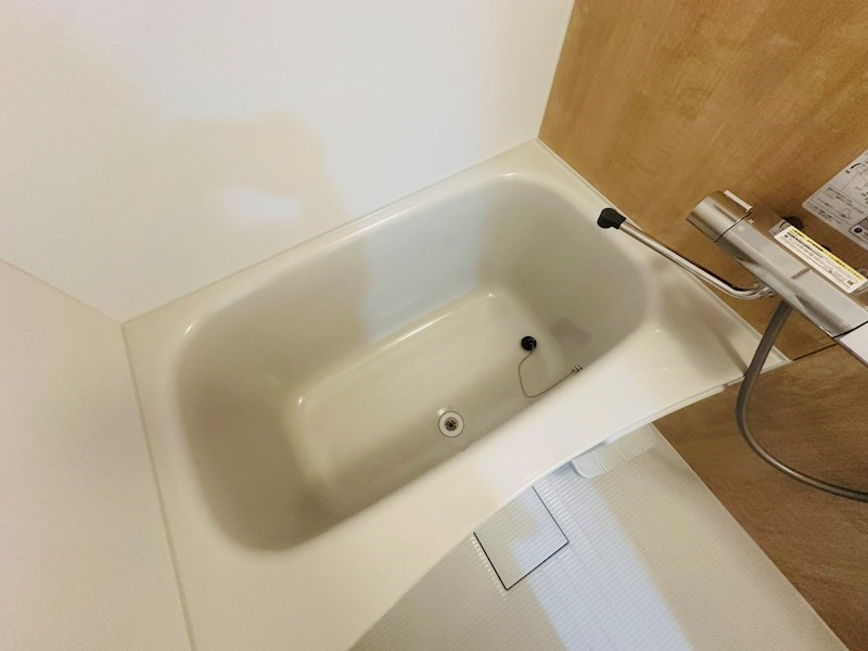 プアマエオレ その他19