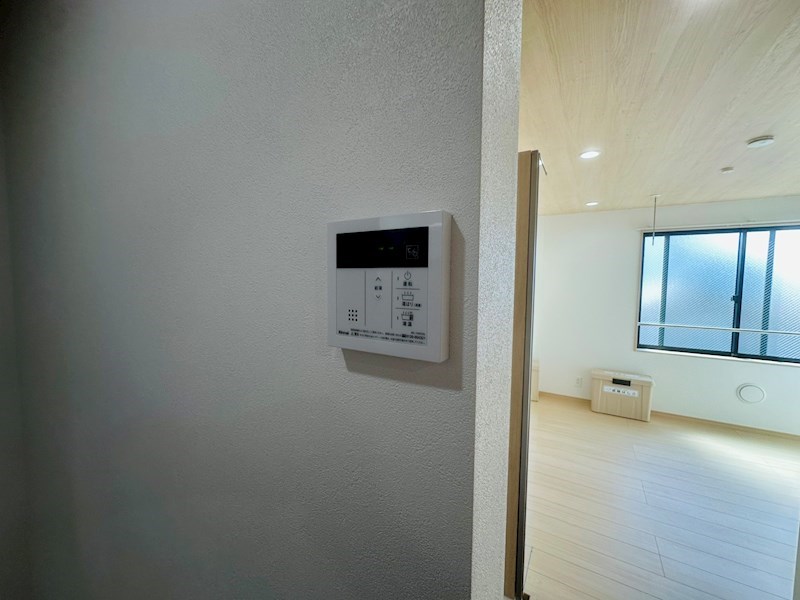 プアマエオレ その他16