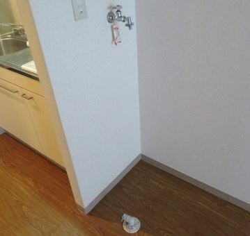 casa de rosa その他6