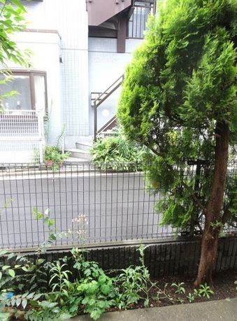 casa de rosa その他7