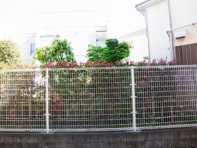 パラシオ北綾瀬 その他6