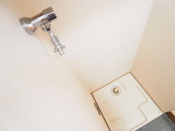 シャ・ブラン その他6