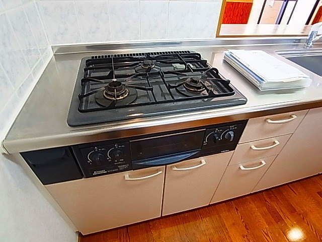 サンタバレー その他21