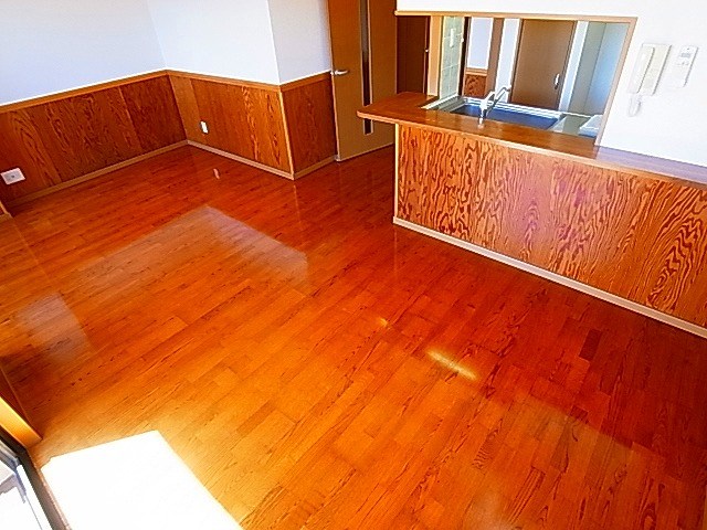 サンタバレー その他30