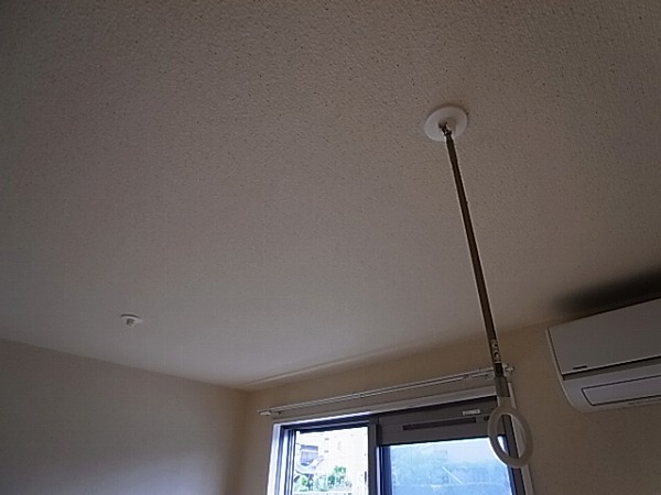 プリマヴェーラ その他14