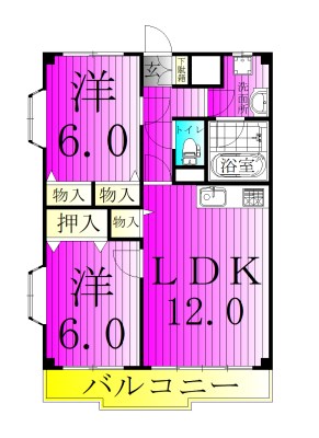 ラフィーヌ・ファインビュー 201号室 間取り