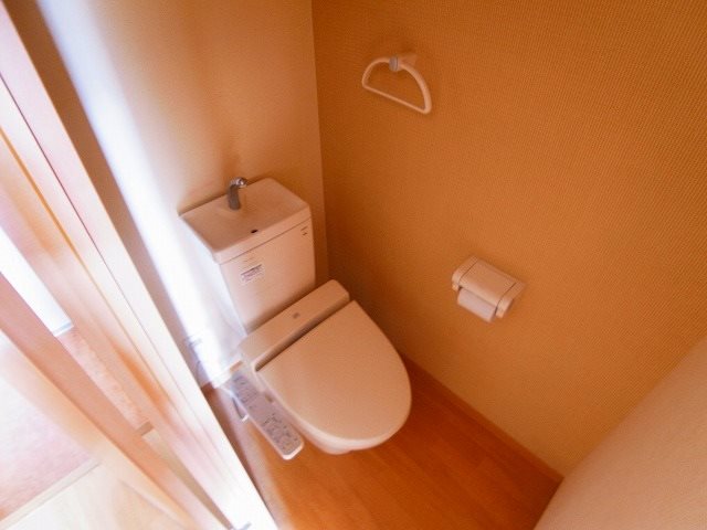 コートウィッシュ その他1