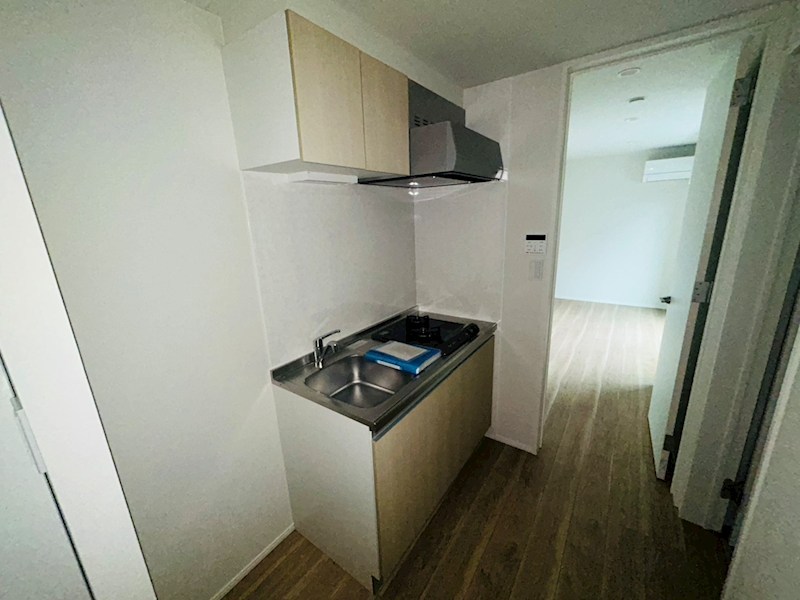 GRADUS柏Ⅱ その他9