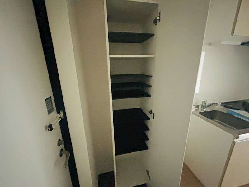 GRADUS柏Ⅱ その他8