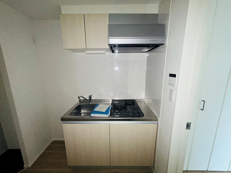 GRADUS柏Ⅱ その他10