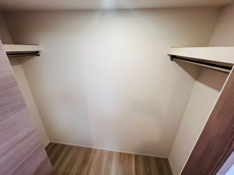 セレスティア扇V その他3