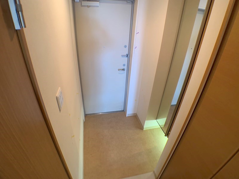 ミモザ その他7