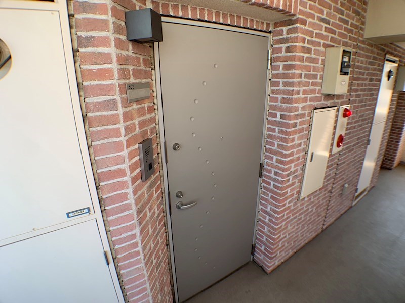 ミモザ その他28