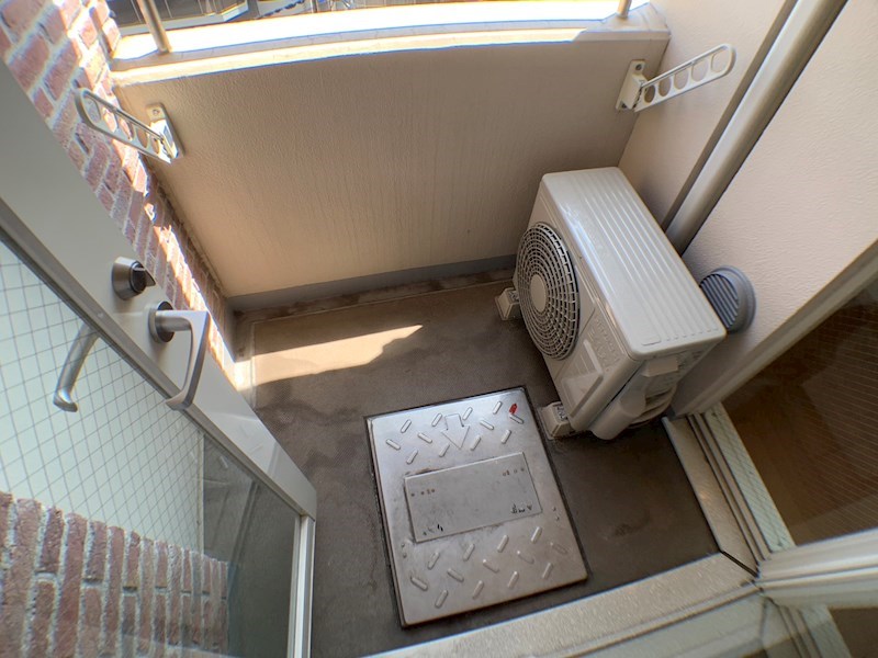 ミモザ その他24