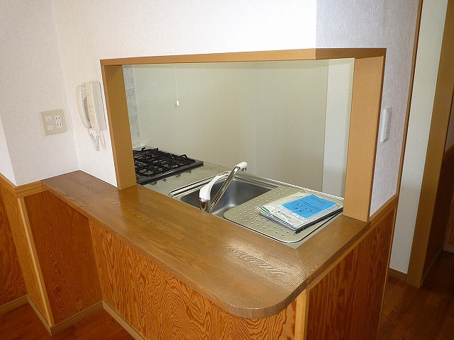 サンタバレー その他4