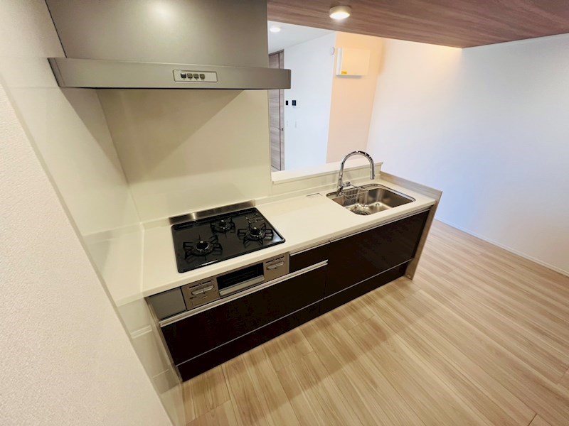 セレスティア扇V その他14