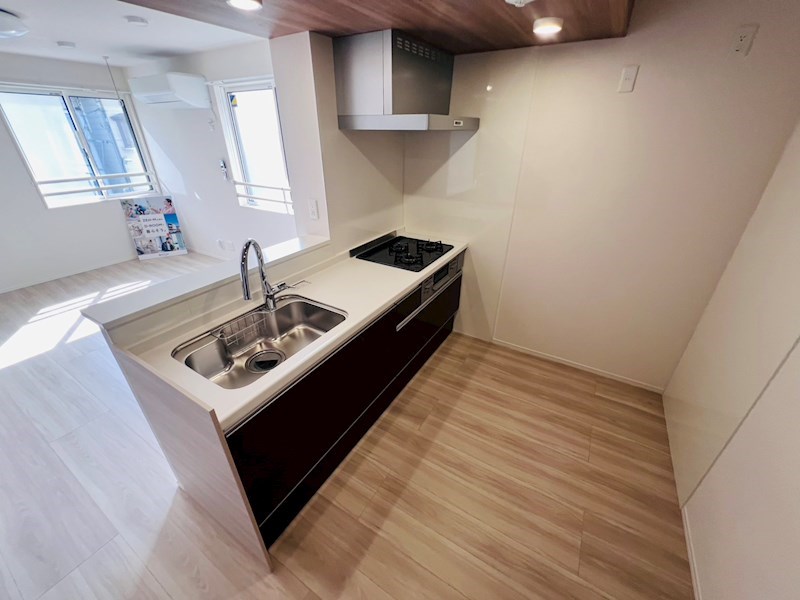 セレスティア扇V その他14