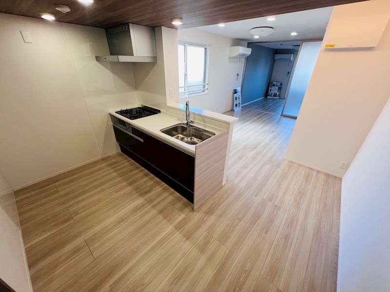 セレスティア扇V その他17