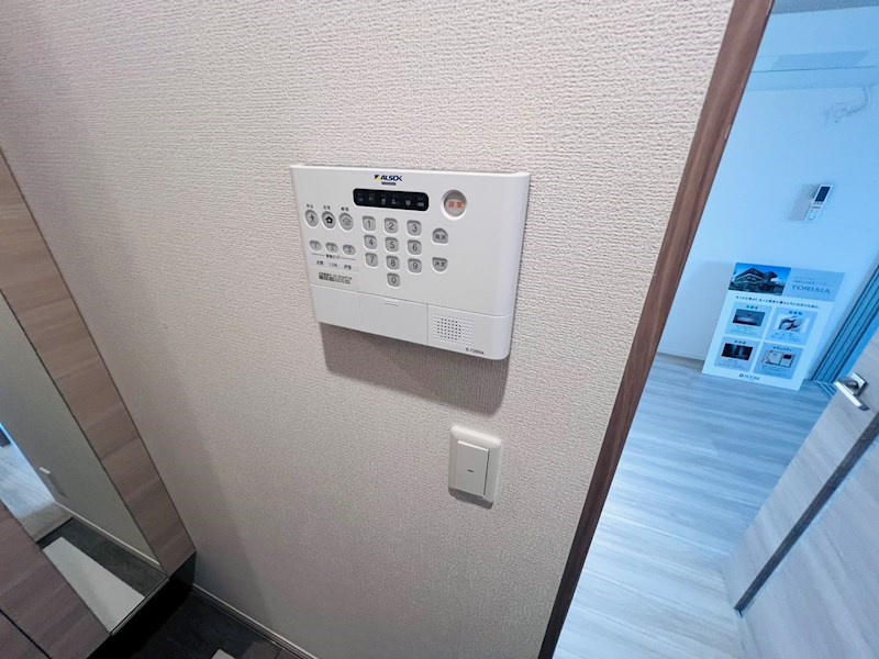 セレスティア扇V その他4