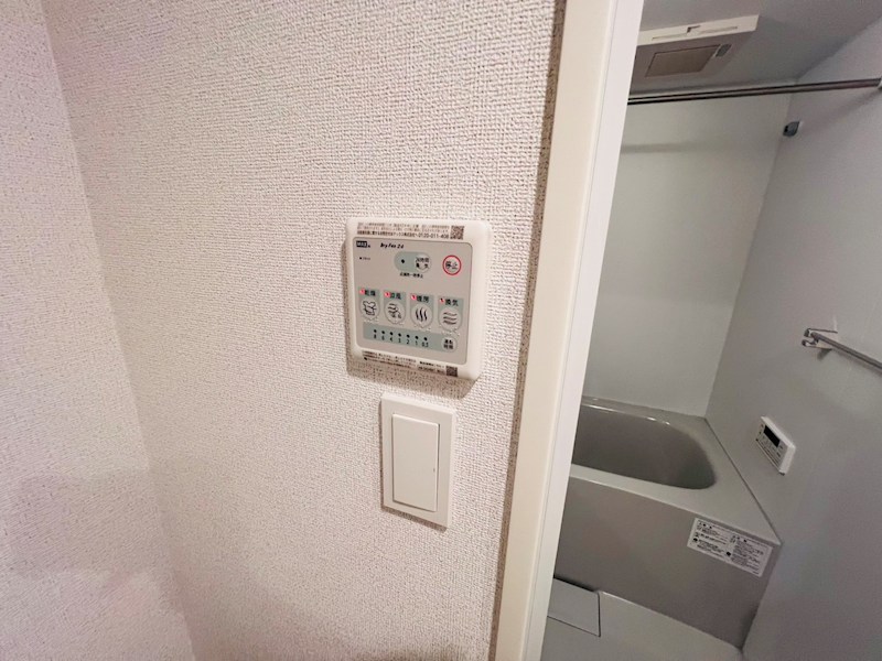 スアヴィス谷在家 その他12