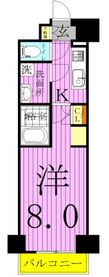 マキシヴ西新井  間取り図