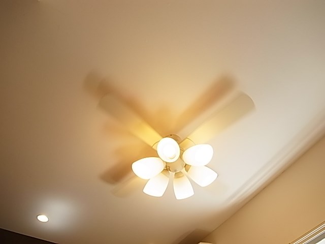 Ｄコート西新井 その他23