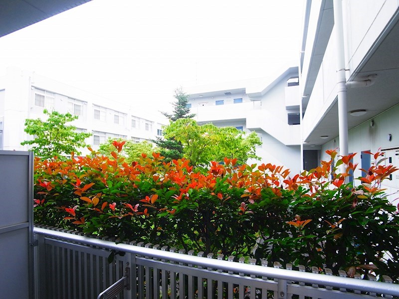 M-FLAT420 その他6