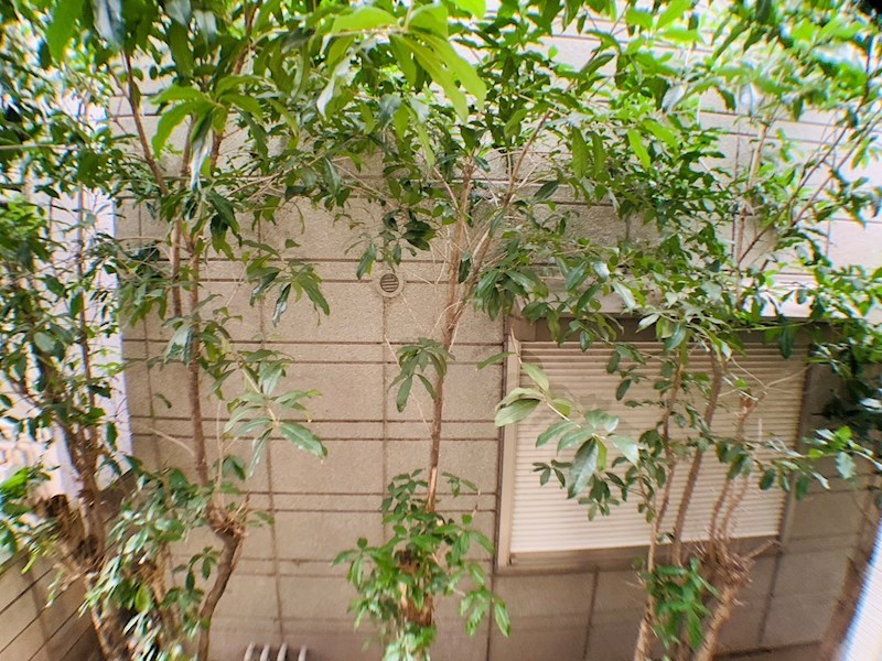 ハーモニーテラス足立 その他6