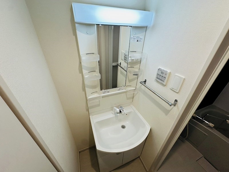 リブリ・アピ その他2